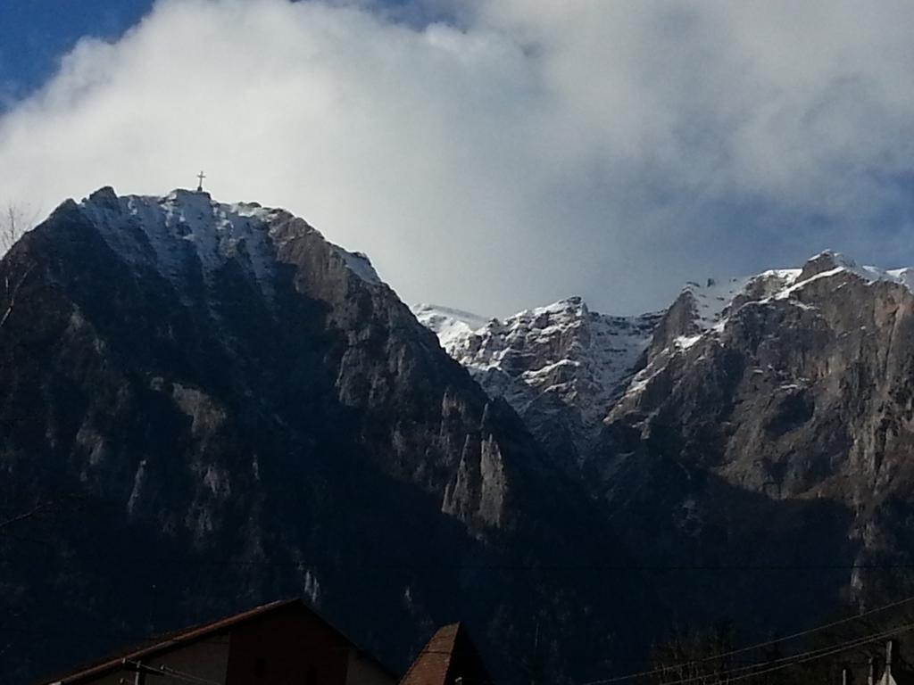 Conac Bavaria Busteni Bagian luar foto